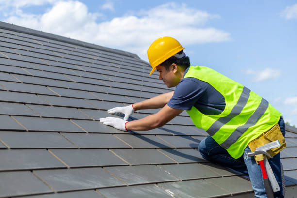Best Best Roofing Contractors  in Harlem Heights, FL