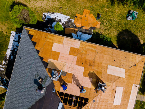 Residential Roof Replacement in Harlem Heights, FL