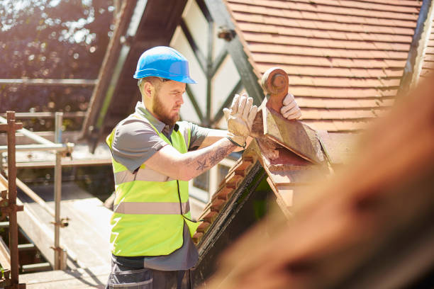 Best Gutter Installation and Roofing  in Harlem Heights, FL